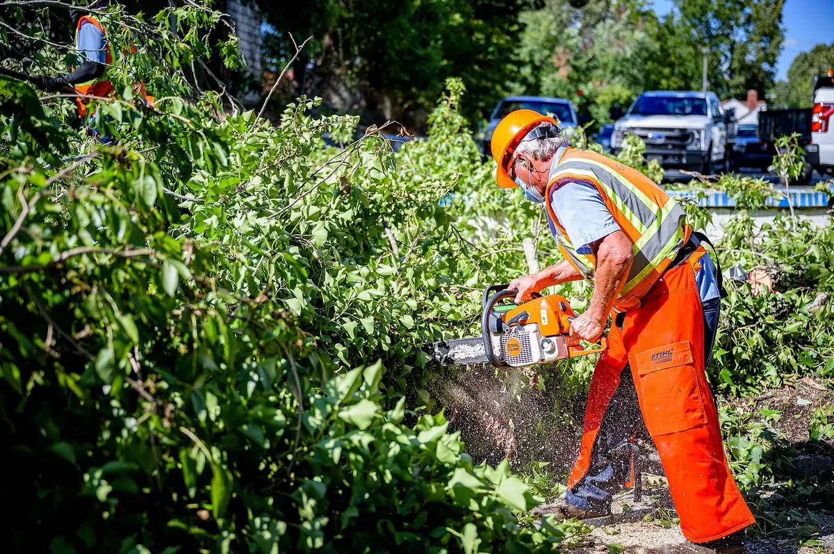 Tree crew member in a hard hat and safety vest cutting up storm limbs with a chainsaw